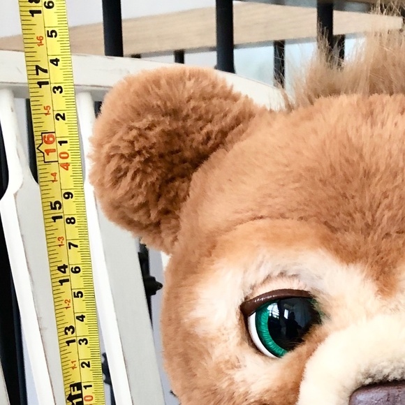 FurReal Friends, Cubby the Curious Bear, Interactive, Talking, Plush Teddy Bear - Picture 13 of 15